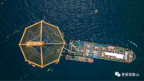 青島龍頭引領再升級 山東重磅規劃賦能，景區管理迎發展新機